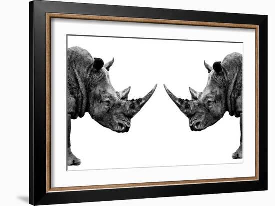 Safari Profile Collection - Rhinos Face to Face White Edition-Philippe Hugonnard-Framed Photographic Print