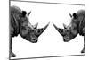 Safari Profile Collection - Rhinos Face to Face White Edition-Philippe Hugonnard-Mounted Photographic Print