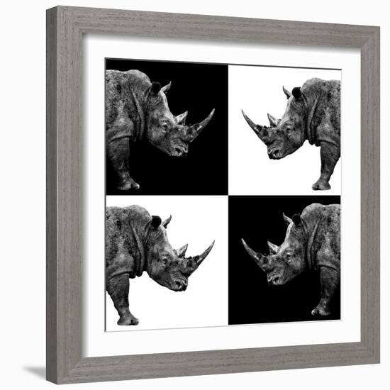 Safari Profile Collection - Rhinos II-Philippe Hugonnard-Framed Photographic Print