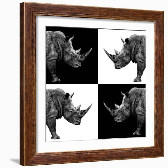 Safari Profile Collection - Rhinos II-Philippe Hugonnard-Framed Photographic Print