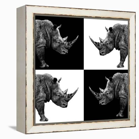 Safari Profile Collection - Rhinos II-Philippe Hugonnard-Framed Premier Image Canvas