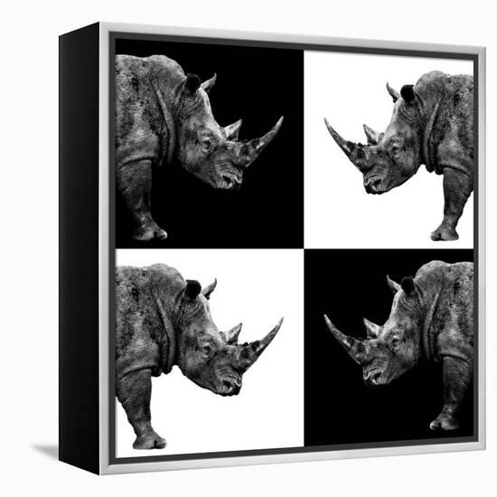 Safari Profile Collection - Rhinos II-Philippe Hugonnard-Framed Premier Image Canvas