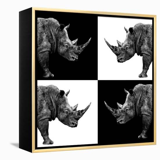 Safari Profile Collection - Rhinos II-Philippe Hugonnard-Framed Premier Image Canvas