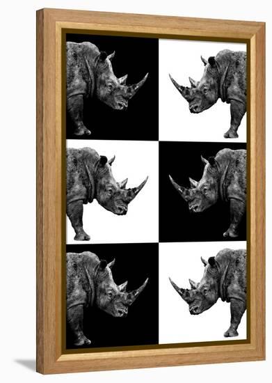 Safari Profile Collection - Rhinos-Philippe Hugonnard-Framed Premier Image Canvas