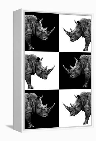 Safari Profile Collection - Rhinos-Philippe Hugonnard-Framed Premier Image Canvas