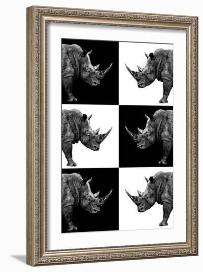 Safari Profile Collection - Rhinos-Philippe Hugonnard-Framed Photographic Print