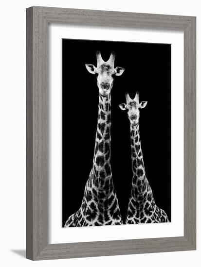 Safari Profile Collection - Two Giraffes Black Edition II-Philippe Hugonnard-Framed Photographic Print