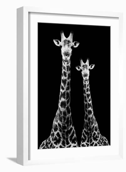 Safari Profile Collection - Two Giraffes Black Edition II-Philippe Hugonnard-Framed Photographic Print