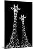 Safari Profile Collection - Two Giraffes Black Edition II-Philippe Hugonnard-Mounted Photographic Print