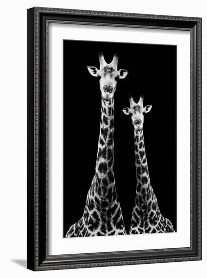 Safari Profile Collection - Two Giraffes Black Edition II-Philippe Hugonnard-Framed Photographic Print