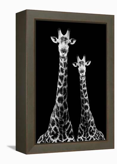 Safari Profile Collection - Two Giraffes Black Edition II-Philippe Hugonnard-Framed Premier Image Canvas