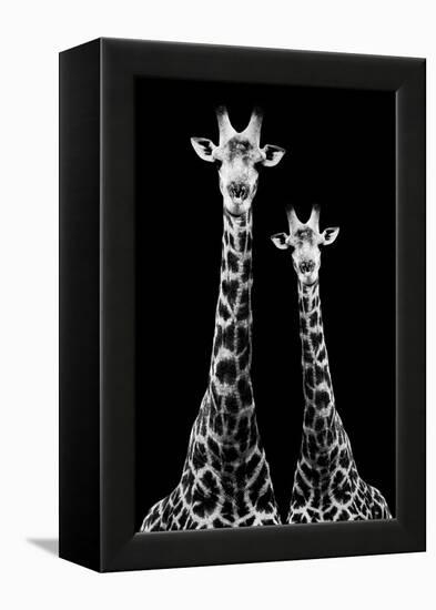 Safari Profile Collection - Two Giraffes Black Edition II-Philippe Hugonnard-Framed Premier Image Canvas