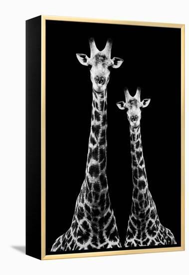 Safari Profile Collection - Two Giraffes Black Edition II-Philippe Hugonnard-Framed Premier Image Canvas