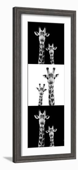 Safari Profile Collection - Two Giraffes III-Philippe Hugonnard-Framed Photographic Print