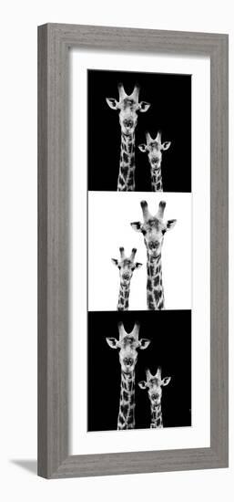 Safari Profile Collection - Two Giraffes III-Philippe Hugonnard-Framed Photographic Print