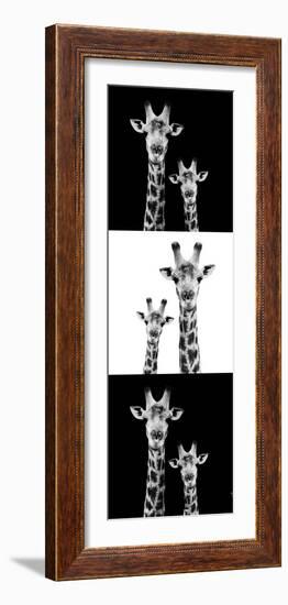 Safari Profile Collection - Two Giraffes III-Philippe Hugonnard-Framed Photographic Print