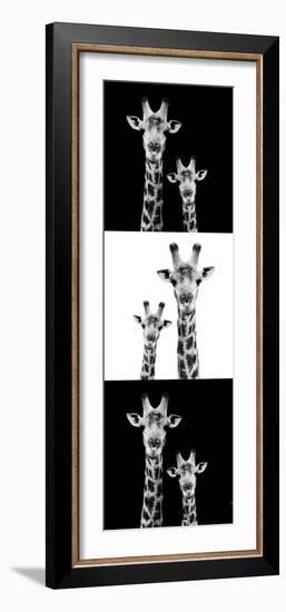 Safari Profile Collection - Two Giraffes III-Philippe Hugonnard-Framed Photographic Print