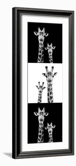 Safari Profile Collection - Two Giraffes III-Philippe Hugonnard-Framed Photographic Print