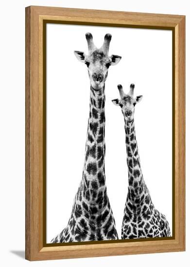 Safari Profile Collection - Two Giraffes White Edition II-Philippe Hugonnard-Framed Premier Image Canvas