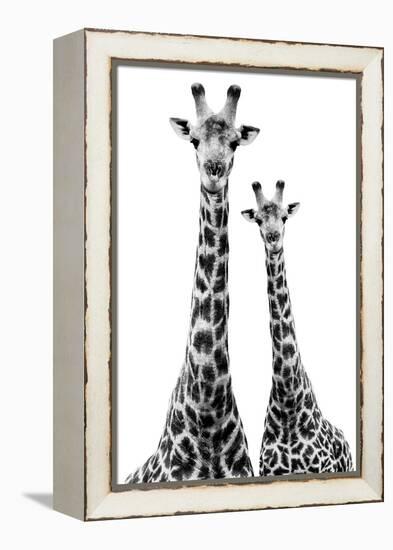 Safari Profile Collection - Two Giraffes White Edition II-Philippe Hugonnard-Framed Premier Image Canvas