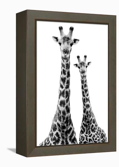 Safari Profile Collection - Two Giraffes White Edition II-Philippe Hugonnard-Framed Premier Image Canvas