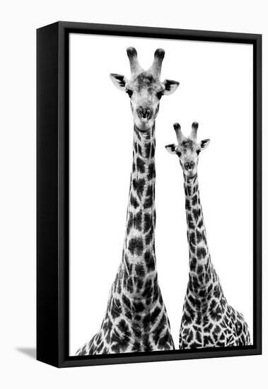 Safari Profile Collection - Two Giraffes White Edition II-Philippe Hugonnard-Framed Premier Image Canvas