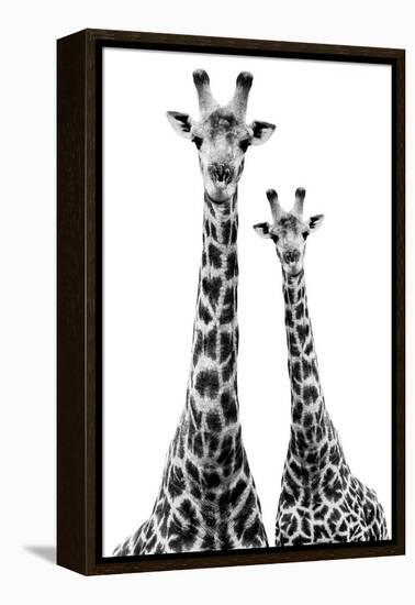 Safari Profile Collection - Two Giraffes White Edition II-Philippe Hugonnard-Framed Premier Image Canvas