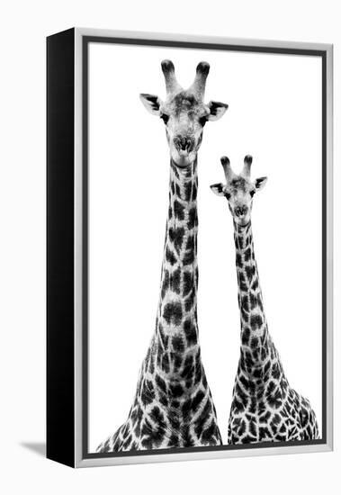 Safari Profile Collection - Two Giraffes White Edition II-Philippe Hugonnard-Framed Premier Image Canvas