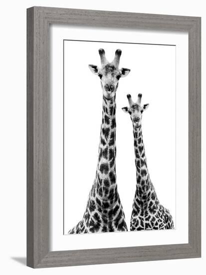 Safari Profile Collection - Two Giraffes White Edition II-Philippe Hugonnard-Framed Photographic Print