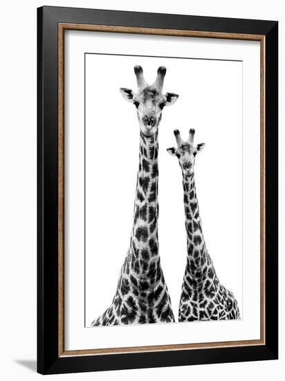 Safari Profile Collection - Two Giraffes White Edition II-Philippe Hugonnard-Framed Photographic Print