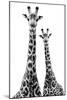 Safari Profile Collection - Two Giraffes White Edition II-Philippe Hugonnard-Mounted Photographic Print