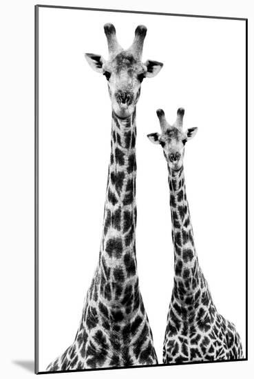 Safari Profile Collection - Two Giraffes White Edition II-Philippe Hugonnard-Mounted Photographic Print