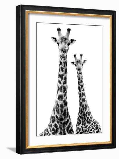 Safari Profile Collection - Two Giraffes White Edition II-Philippe Hugonnard-Framed Photographic Print