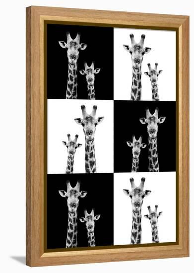 Safari Profile Collection - Two Giraffes-Philippe Hugonnard-Framed Premier Image Canvas