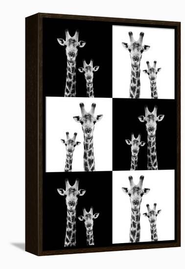 Safari Profile Collection - Two Giraffes-Philippe Hugonnard-Framed Premier Image Canvas