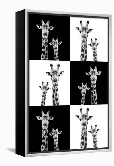 Safari Profile Collection - Two Giraffes-Philippe Hugonnard-Framed Premier Image Canvas