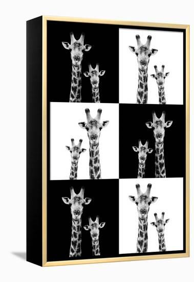 Safari Profile Collection - Two Giraffes-Philippe Hugonnard-Framed Premier Image Canvas