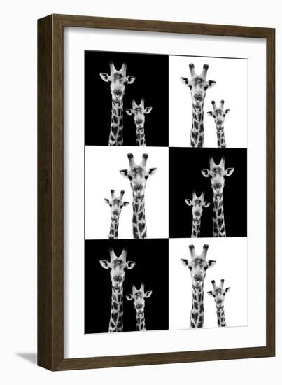 Safari Profile Collection - Two Giraffes-Philippe Hugonnard-Framed Photographic Print