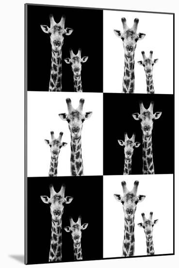 Safari Profile Collection - Two Giraffes-Philippe Hugonnard-Mounted Photographic Print