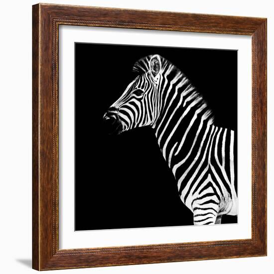 Safari Profile Collection - Zebra Black Edition II-Philippe Hugonnard-Framed Photographic Print