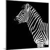 Safari Profile Collection - Zebra Black Edition II-Philippe Hugonnard-Mounted Photographic Print