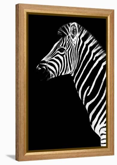 Safari Profile Collection - Zebra Black Edition III-Philippe Hugonnard-Framed Premier Image Canvas