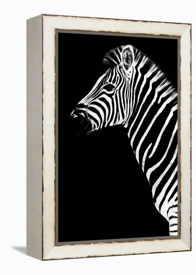 Safari Profile Collection - Zebra Black Edition III-Philippe Hugonnard-Framed Premier Image Canvas