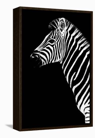 Safari Profile Collection - Zebra Black Edition III-Philippe Hugonnard-Framed Premier Image Canvas