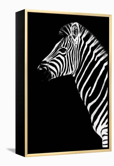 Safari Profile Collection - Zebra Black Edition III-Philippe Hugonnard-Framed Premier Image Canvas