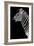 Safari Profile Collection - Zebra Black Edition III-Philippe Hugonnard-Framed Photographic Print