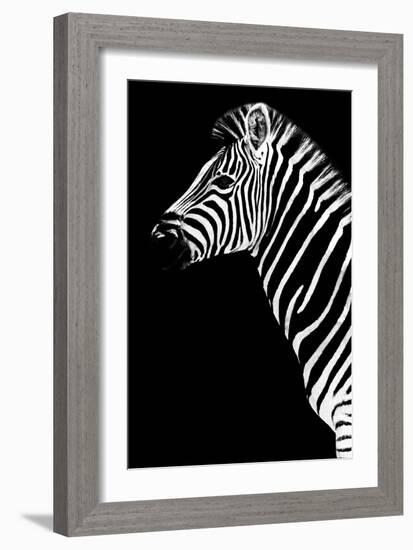 Safari Profile Collection - Zebra Black Edition III-Philippe Hugonnard-Framed Photographic Print