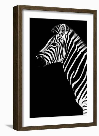 Safari Profile Collection - Zebra Black Edition III-Philippe Hugonnard-Framed Photographic Print