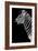 Safari Profile Collection - Zebra Black Edition III-Philippe Hugonnard-Framed Photographic Print