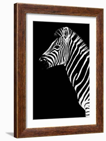 Safari Profile Collection - Zebra Black Edition III-Philippe Hugonnard-Framed Photographic Print